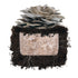 Italian Oyster 'Plant & Grow' Garden Block